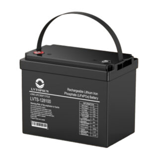 LVTOPSUN 12V 100Ah LifePO4 Lithium-Ion Battery